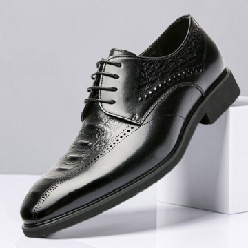 Herren Brogue Geprägte Oxfords Rindsleder Abendschuhe