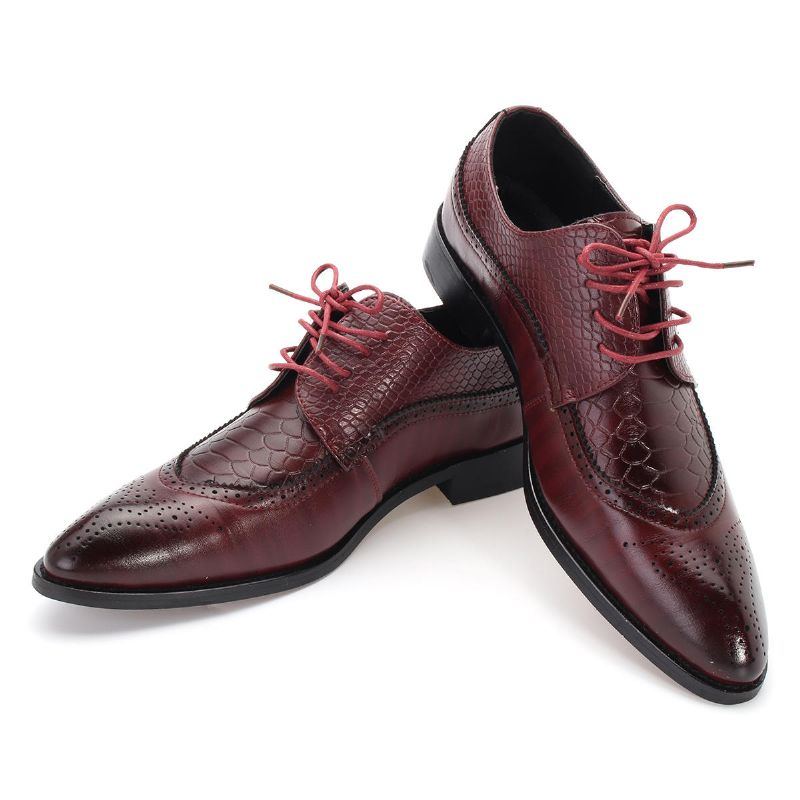 Moderne Brogue Schnittschuhe Für Herren Mit Geschnitzten Klassischen Spitzen Zehen