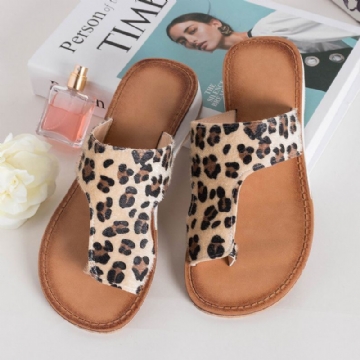 Große Bequeme Weiche Leoparden Clip Zehen Flachsandalen Für Damen